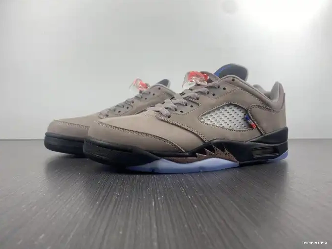 HYPE Air PSG 5 DX6325-204 x Low Jordan 0511